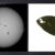 MÚSICA CALLADA - Manchas Solares Hojas…
