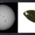 MÚSICA CALLADA - Manchas Solares Hojas…